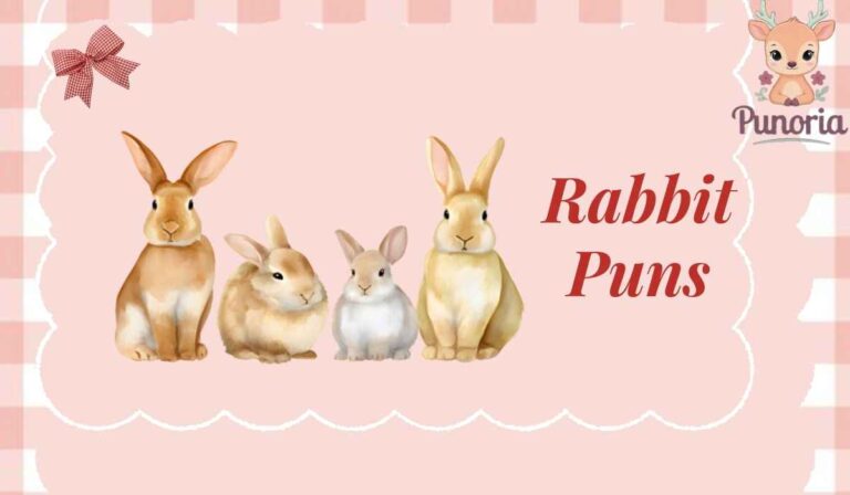 Rabbit Puns