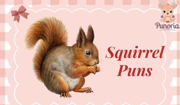Squirrel Puns