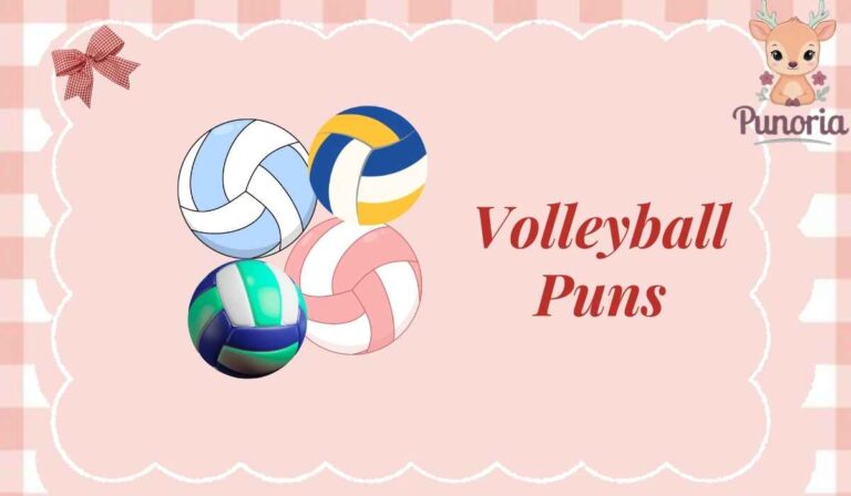 Volleyball Puns
